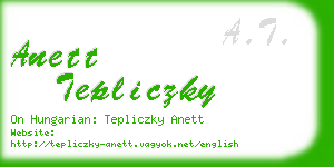 anett tepliczky business card